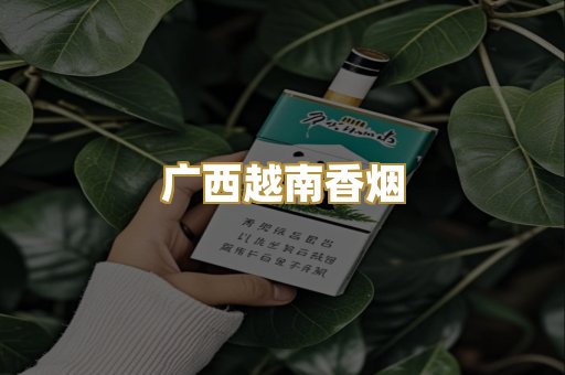 广西越南香烟
